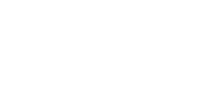 pauluns_logo